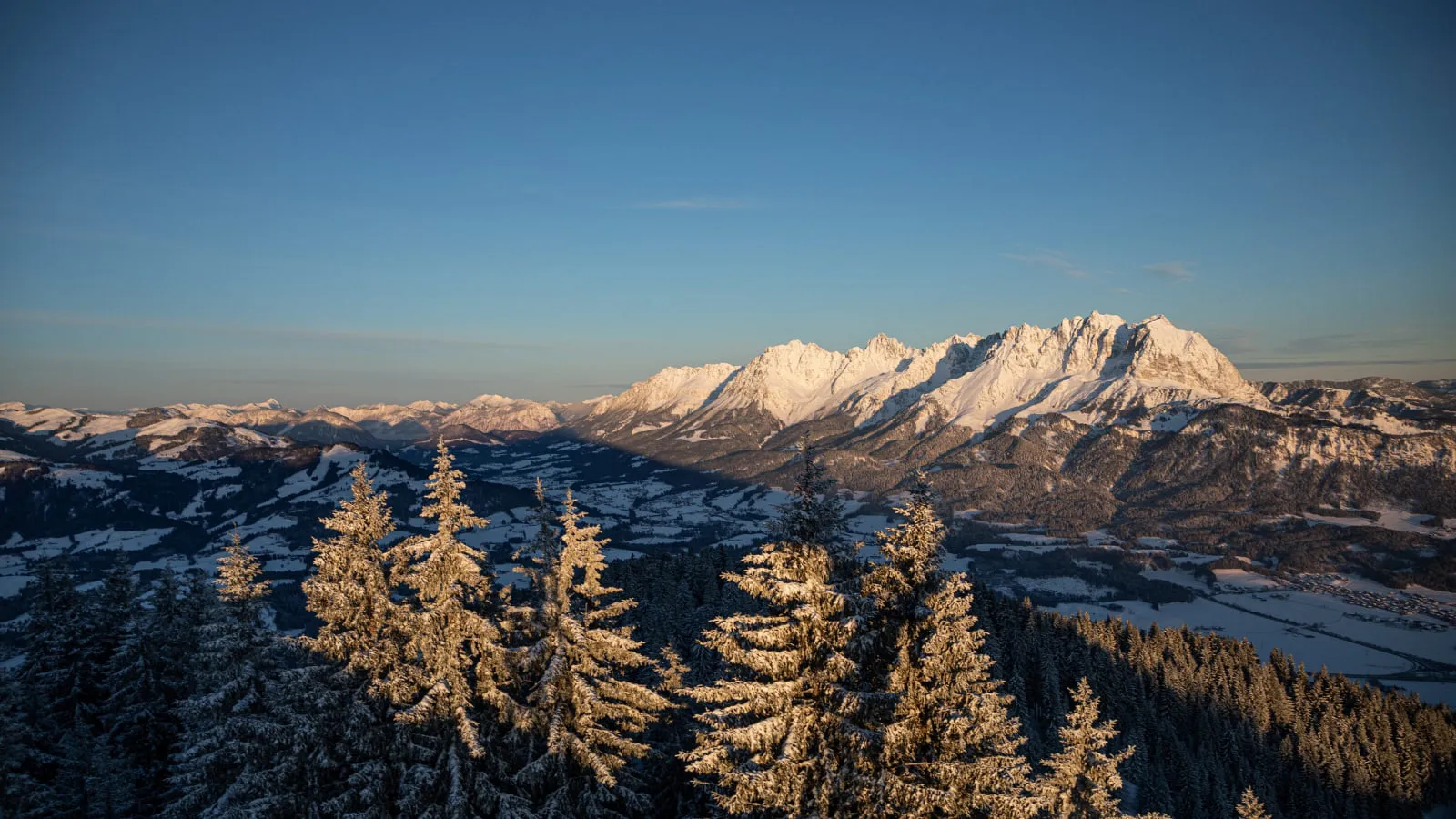 Wilder Kaiser im Abendlicht über verschneiten Wäldern