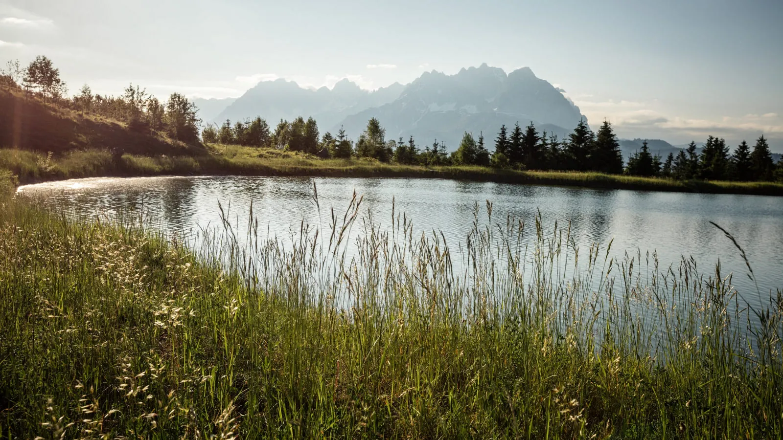 Bergsee mit Schilf und Wald in den Kitzbüheler Alpen